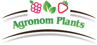 Logo Agronom PLants
